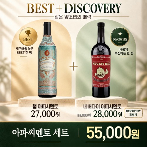 BEST + DISCOVERY ���Ľø���